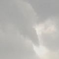 bild1